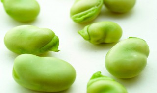 蚕豆保鲜及储存方法（新鲜蚕豆储存方法）