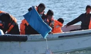 正确的放生步骤（放生流程及方法）