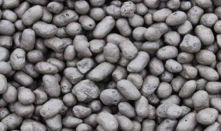 陶粒有什么陶粒（陶粒是用来干啥的）