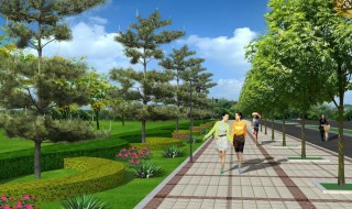 绿化对环境的作用（绿化对环境的作用有吸收二氧化碳,二氧化硫放出什么）