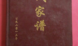 家谱如何写才是正确（家谱如何写才是正确写法）