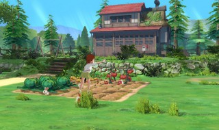 小森生活开垦新的土地方法 小森生活怎么开垦地