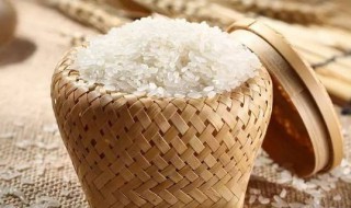 大米防止生虫的七个方法 什么方法可以防止大米生虫