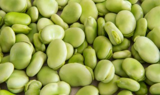 蚕豆去皮的方法 蚕豆去皮怎么做好吃