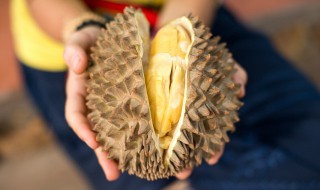 榴莲没熟怎么存放熟得快 榴莲没熟怎么放容易熟