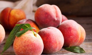 桃树控旺长新方法 桃树控旺过重用什么解