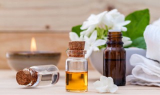 茉莉精油的功效与用法 单方茉莉精油的功效与用法