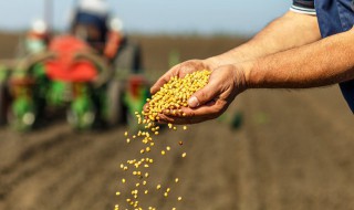 碳铵肥料的特点和作用 碳铵肥料的特点和作用?