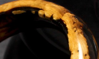 海柳手镯的功效与作用（海柳手镯的功效与作用图片）