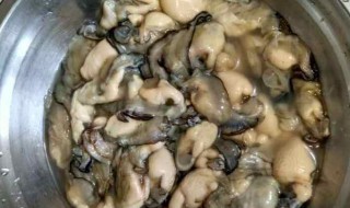 海蛎如何清洗 海蛎怎么清洗才干净