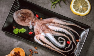 如何清洗八爪鱼 如何清洗八爪鱼的粘液