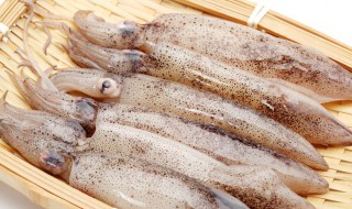 如何清洗鱿鱼 如何清洗鱿鱼仔