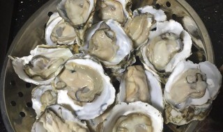 如何清洗海蛎 如何清洗海蛎子内脏