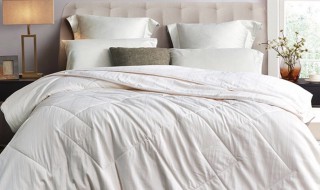 如何清洗蚕丝被 如何清洗蚕丝被子