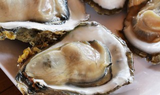 牡蛎如何清洗（牡蛎如何清洗食用）