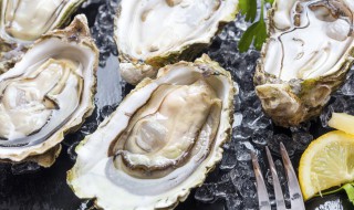 如何清洗牡蛎 如何清洗牡蛎内脏