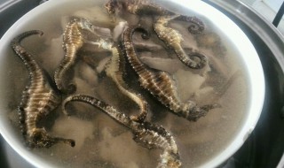 海马如何清洗（海马如何清洗视频）