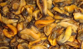 淡菜如何清洗（淡菜如何清洗视频）