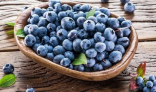 如何清洗蓝莓 如何清洗蓝莓汁