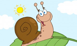 怎样分辨蜗牛有毒（怎样分辨蜗牛有毒性）