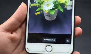 微信原图怎么发（微信原图怎么发朋友圈）