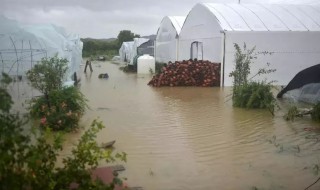 自然灾害保险赔吗（自然灾害保险赔吗?）