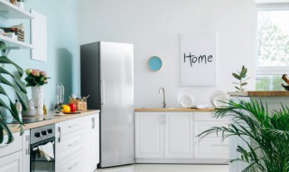 新冰箱如何清洗 新冰箱如何清洗后投入使用