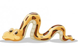 遇到蛇怎么逃跑 遇到蛇如何逃跑