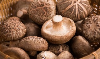 香菇如何清洗 香菇如何清洗?