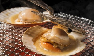 如何清洗扇贝（如何清洗扇贝肉视频教程）