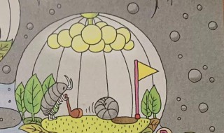 西瓜虫喜欢吃什么 西瓜虫喜欢吃什么的图片