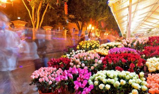 干花需要插在水里吗（干花需要放水里吗）