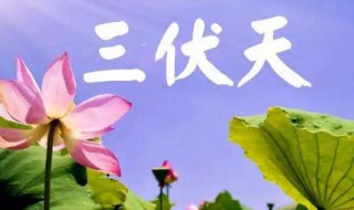 暑伏是什么时间开始的 暑伏是什么时间开始的什么是庚日