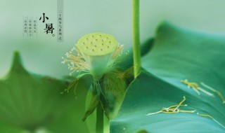 小暑的含义和由来（小暑的由来是什么）