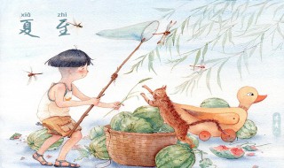 夏至节气民俗 夏至节气民俗活动方案