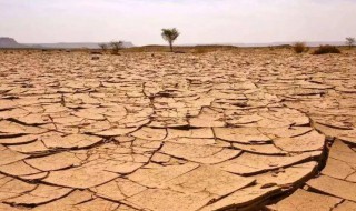 沙漠化和沙漠的区别（沙漠化和沙漠的区别在哪）
