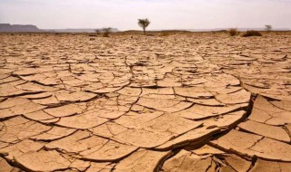 荒漠化和沙漠化有何不同 荒漠化和沙漠化有何不同之处
