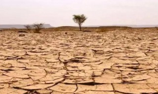 荒漠化和沙漠化面积（沙漠化的面积）