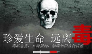 国际禁国际禁毒日是每年的哪一天 国际禁毒日是每年的那天