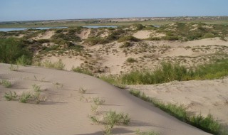 土地荒漠化的原因（西北土地荒漠化的原因）