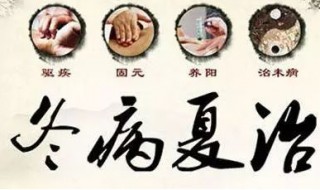 什么是三伏调理（为什么要做三伏调理）