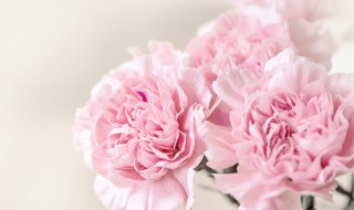 送母亲鲜花送什么花 送母亲鲜花送什么花寓意好的