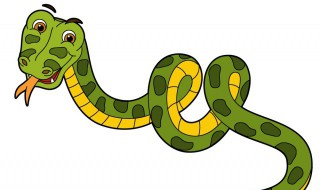 梦见蟒蛇是什么意思 男性梦见蟒蛇是什么意思