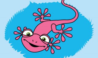 壁虎咬人吗?有毒吗 壁虎有毒吗 咬人吗