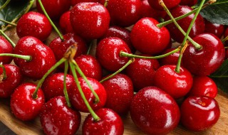 车厘子树苗和樱桃树苗的区别 车厘子树苗和樱桃树苗的区别在哪里