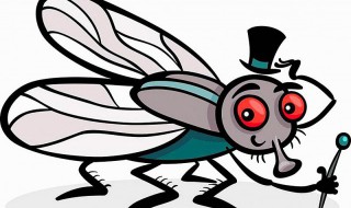 驱蝇子最有效的办法（驱蝇子最有效的办法店铺）