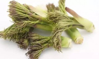 刺嫩芽的食用方法（刺嫩芽如何食用）