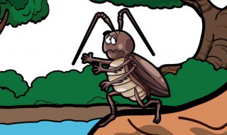 消灭蟑螂用什么办法 消灭蟑螂用什么办法最快