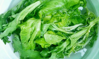 青菜如何清洗 青菜如何清洗不会坏