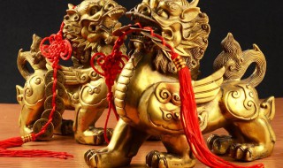 貔貅如何清洗 貔貅如何清洗和保养